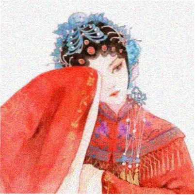 读者小雨头像